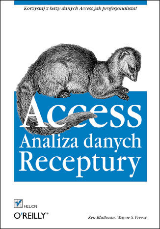 Access. Analiza danych. Receptury