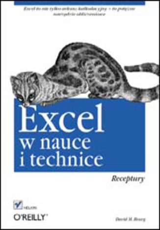 Excel w nauce i technice. Receptury