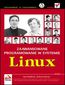 Zaawansowane programowanie w systemie Linux - Neil Matthew, Richard Stones