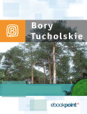 Ebook Bory Tucholskie. Miniprzewodnik