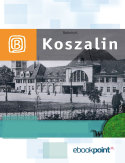 Ebook Koszalin i okolice. Miniprzewodnik