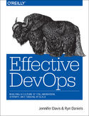 Ebook Effective DevOps. Building a Culture of Collaboration, Affinity, and Tooling at Scale
