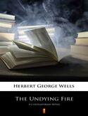 Ebook The Undying Fire. A Contemporary Novel