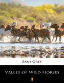 Ebook Valley of Wild Horses