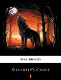 Ebook Silvertips Chase