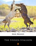 Ebook The Stolen Stallion