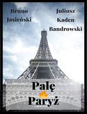 Ebook Palę Paryż