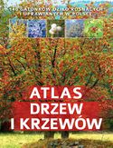 Ebook Atlas drzew i krzewów