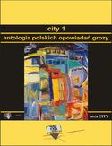 Ebook City 1. Antologia polskich opowiadań grozy