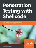 Ebook Penetration Testing with Shellcode
