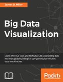 Ebook Big Data Visualization