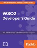 Ebook WSO2 Developer's Guide