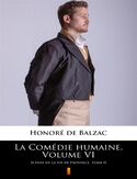 Ebook La Comédie humaine. Volume VI. Scnes de la vie de Province. Tome II
