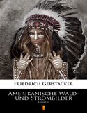 Ebook Amerikanische Wald- und Strombilder. Band III