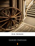 Ebook Good Indian