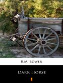 Ebook Dark Horse