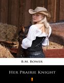 Ebook Her Prairie Knight