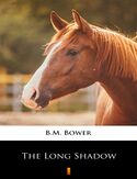 Ebook The Long Shadow