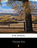 Ebook Tiger Eye
