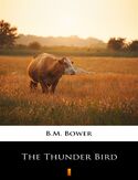 Ebook The Thunder Bird