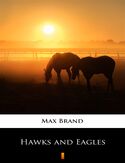Ebook Hawks and Eagles