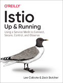 Ebook Istio: Up and Running. Using a Service Mesh to Connect, Secure, Control, and Observe
