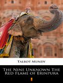 Ebook The Nine Unknown The Red Flame of Erinpura