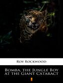Ebook Bomba, the Jungle Boy at the Giant Cataract