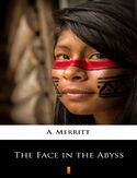 Ebook The Face in the Abyss