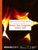 Ebook Faust. Der Tragödie erster Teil