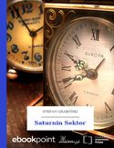 Ebook Saturnin Sektor
