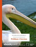 Ebook Pelikan i bocian