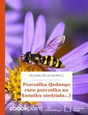 Ebook Pszczółka (Jednego razu pszczółka na kwiatku siedziała...)