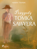 Ebook Przygody Tomka Sawyera