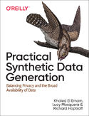 Ebook Practical Synthetic Data Generation. Balancing Privacy and the Broad Availability of Data