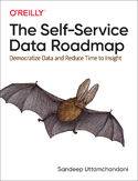 Ebook The Self-Service Data Roadmap