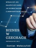 Ebook Biznes w Czechach