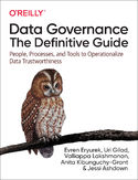 Ebook Data Governance: The Definitive Guide
