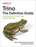 Ebook Trino: The Definitive Guide