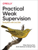 Ebook Practical Weak Supervision