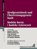 Ebook Kodeks karny i kodeks wykroczeń Strafgesetzbuch Und Űbertretungsgesetzbuch
