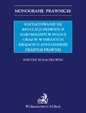 Ebook Kształtowanie się regulacji prawnych zgromadzeń w Polsce oraz w wybranych krajach o anglosaskiej tradycji prawnej