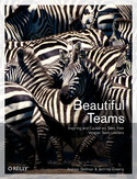 Ebook Beautiful Teams. Inspiring and Cautionary Tales from Veteran Team Leaders