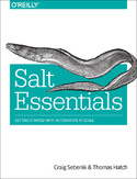 Ebook Salt Essentials