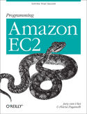 Ebook Programming Amazon EC2. Survive your Success