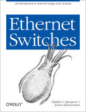 Ebook Ethernet Switches. An Introduction to Network Design with Switches
