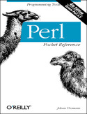 Ebook Perl Pocket Reference. 4th Edition
