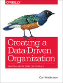 Ebook Creating a Data-Driven Organization