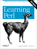 Ebook Learning Perl. 3rd Edition