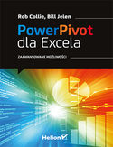 Ebook Power Pivot dla Excela. Zaawansowane możliwości